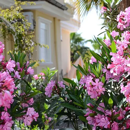 Villa Honeymoon