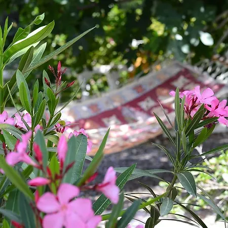 Honeymoon Вилла